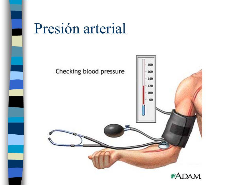 Normal na presión arterial alta Normal na presión arterial alta